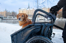 Lade das Bild in den Galerie-Viewer, Livelo #1