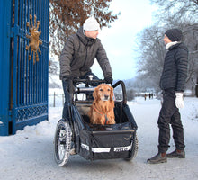 Lade das Bild in den Galerie-Viewer, Livelo #1