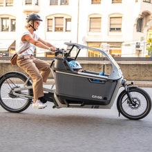 Lade das Bild in den Galerie-Viewer, CaGo FS 200 All-Weather-Top Regenverdeck| Best Cargo Bike