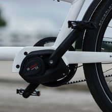 Lade das Bild in den Galerie-Viewer, Lastenrad mit Neigetechnik MK1-E VARIO| Best Cargo Bike