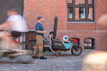 Lade das Bild in den Galerie-Viewer, E- Lastenfahrrad CaGo FS 200 Multi in Düsseldorf| Best Cargo Bike
